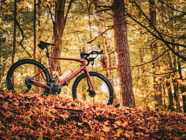 Photo of a red BMC Roadmachine road bike standing on a hill that is covered in a blanket of reddish brown autumn leaves. Behind the bike is a lush forest showing green and yellow leaves.