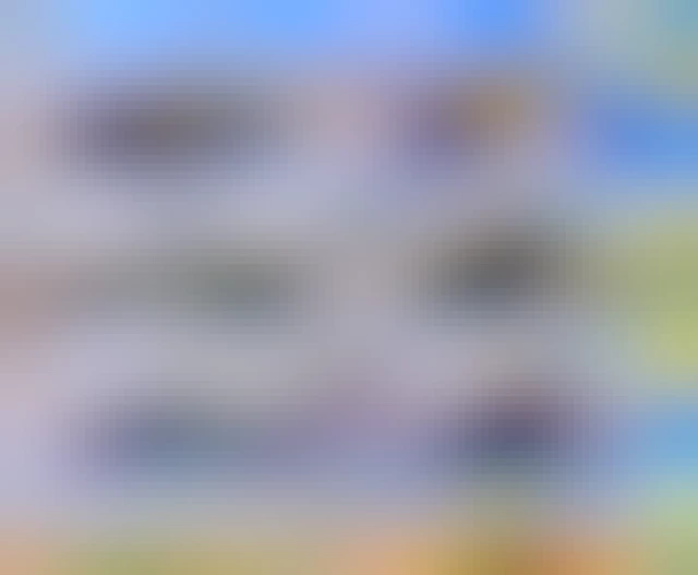 ice is little dick energy protest sign