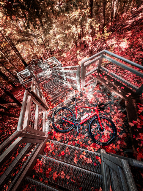 Photo of a red BMC Roadmachine road bike lying on a landing in the middle of a metal staircase in the woods. The stairs are littered with red autumn leaves and so is the ground around the stairs. The camera is looking down the stairs which disappear into a thick forest. 