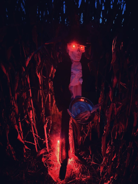 A ghostly apparition in the labyrinth. It is basically a straw man with clothes and some lights.