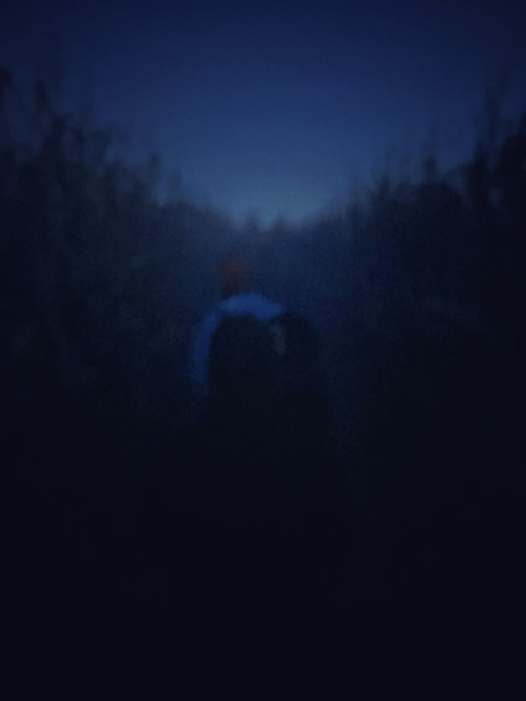 The backs of friends walking through the dark parts of the labyrinth in the night.