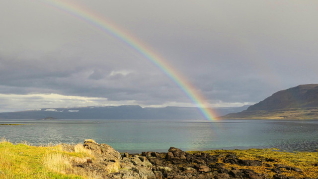 A colour photo of the rocky shore of a fjord under a grey sky. In the distance is a line of mountains with patches of snow on their flanks. On the right is another headland showing patches of sunlight and, on the left in the distance, a group of seaweed-covered rocks where seals are resting. Centre right of the shot is a double rainbow, reflected in the water surface.