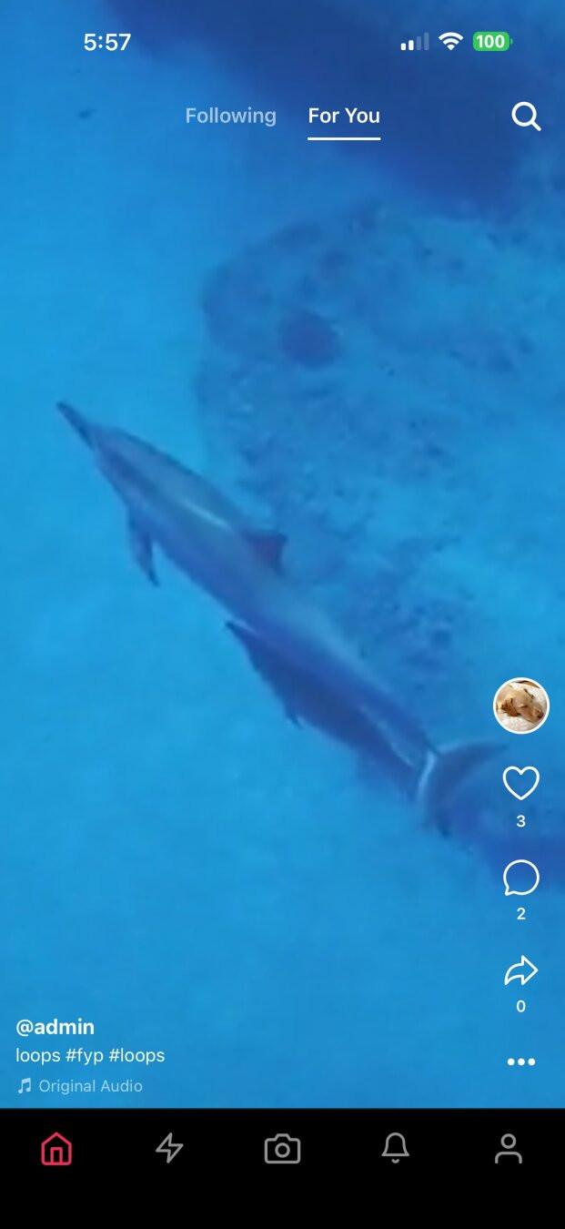 New Loops mobile app For You Feed