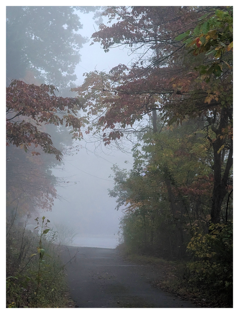 A narrow path curves into dense fog, surrounded by autumn trees with orange, red, and green leaves. The mist creates a soft, mysterious atmosphere.