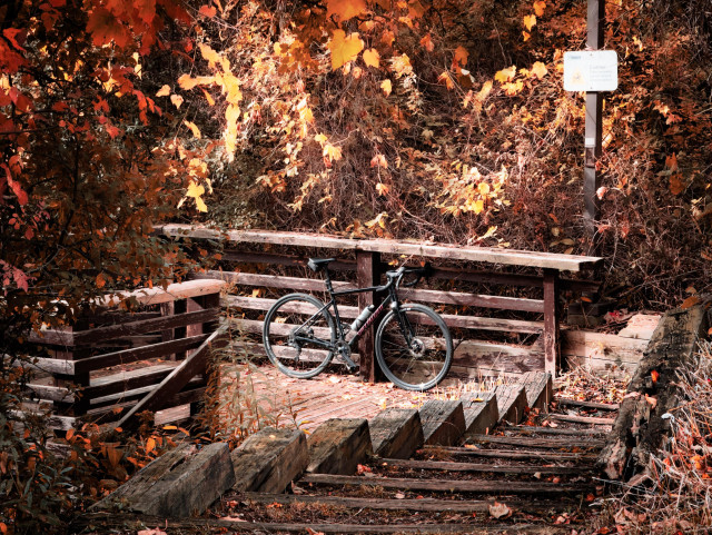 Photo of a black specialized diverge gravel bike standing next to a wooden railing that is at the bottom of some stairs in an outdoor setting. Beautiful autumn foliage is surrounding the railing. It’s showing leaves that are red and yellow and orange and brown among thick brush.