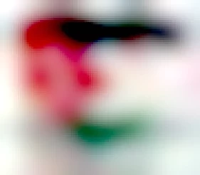 Image of the Palestine flag in the shape of a heart