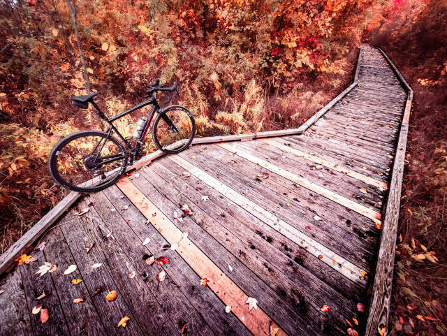 Photo of a black specialized diverge gravel bike standing on a wooden boardwalk that is running through a beautiful autumn forest. The boardwalk is surrounded by so many leaves that it’s hard to even see the trees that they come from. The leaves are green and yellow and orange and red and brown. The boardwalk has an outcropping where the bike is standing, and then it proceeds to bend and disappear into the forest.