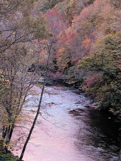 A narrow River reflects the pink and blue morning sky and trees along its banks, some already bare, others with leaves in all colors.