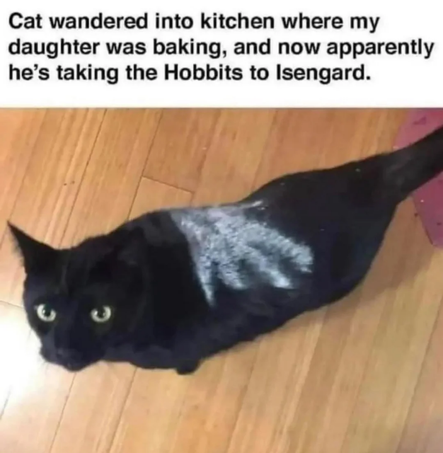 Cat wandered into kitchen where me daughter was baking, and now apparently he's taking the hobbits to Isengard.
(Picture of a white hand print on a black cat similar to the white hand of Saruman)