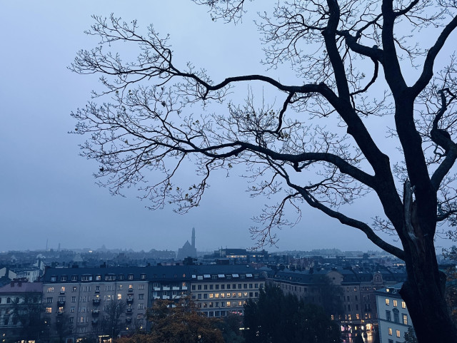 Skymning. Ett ensamt träd i förgrunden. Man ser staden på håll nedanför en grå himmel.
