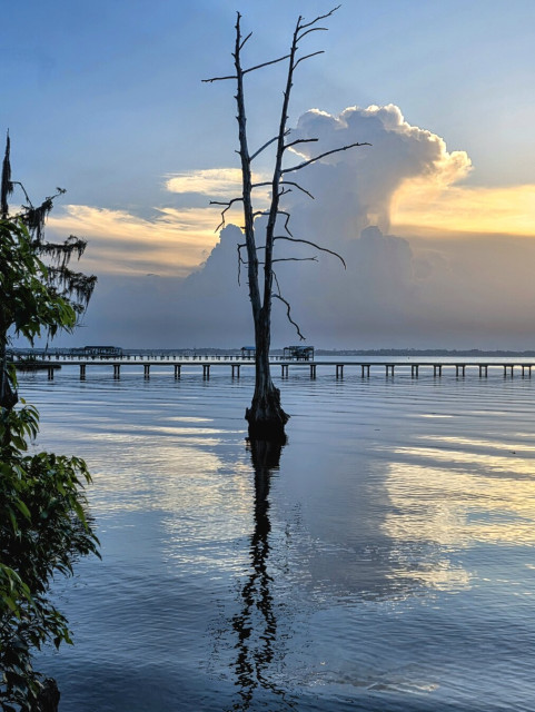 The image captures a serene river scene at sunset. In the foreground, a bare, leafless tree trunk rises from the calm water, its reflection clearly visible. The water's surface is gently rippled, reflecting the soft hues of the sky.

A long wooden pier stretches across the middle ground, dotted with small structures at intervals. The background is dominated by a sky filled with billowing clouds, tinged with the warm colors of the setting sun. Vegetation is visible on the left side of the image, adding depth and framing the scene.