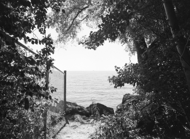 A path along a chain link fence ends abruptly at the shore of a large lake, we peer through trees to the open water. 