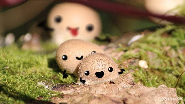 Close up photo of three round fungi growing on a mossy tree stump. The photo has been rotated 90% to give them a mossy, bark floor, and each has a face and arms drawn on. The smallest, in front, has an open, smiling mouth and waves with one hand. Just behind, very slightly blurred, is a second slightly larger one, also smiling. Further back is a much larger one, very blurred with the background, but visibly pulling a silly face, tongue out in a "pffffft!".