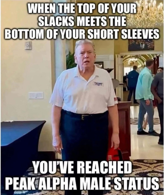 Image of Trump wearing dress pants with a white polo shirt tucked in, and the pants are pulled up so high that the short sleeves practically align with the waist of his pants.  The meme text indicates that he has reached peak alpha male status.