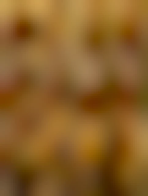 Yellow hosta leaves, with a puckered texture like a washed hand quilted blanket, in the sun. The one taking up most of the frame is heart shaped. 