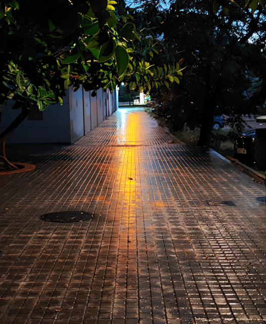 Wet sidewalk after the rain, at dusk, reflects orange and cyan electric lights. Two green trees cover the upper part of the frame. The tiles of the sidewalk create a centered perspective grid occupying most of the picture.
