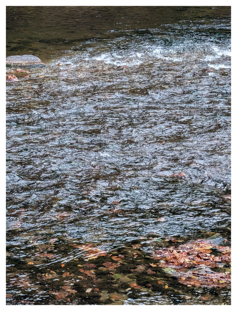 	
Shallow stream with clear, rippling water flows over rocks. Brown and orange autumn leaves are scattered on the streambed and caught among the stones. The waters surface reflects light, showing both calm and slightly choppy areas.