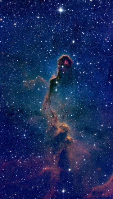 A sinuous tract of dark dust and gas winds its way upwards two-thirds of the way to the top of the tall and skinny picture frame, where it terminates in a tight curl, like an articulated tip of a cat's tail or an elephant's trunk.  The dark core of the nebula is contrasted against the glow of ionized interstellar elements;  rendered in a pleasing set of colors wherein the narrowband Sulfur, Hydrogen, and Oxygen data are mapped onto the red, green, and blue channels of the color image.  The nebula sits upon a dense field of multicolored stars of various sizes.  Many of the brightest stars exhibit a twofold set of rainbow-colored diffraction spikes -- an optical artifact of the telescope used to capture the image.