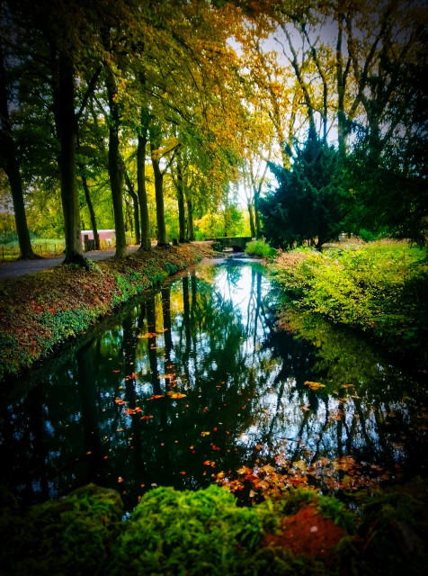 The river Mühlenbach with trees and sky reflected in its waters