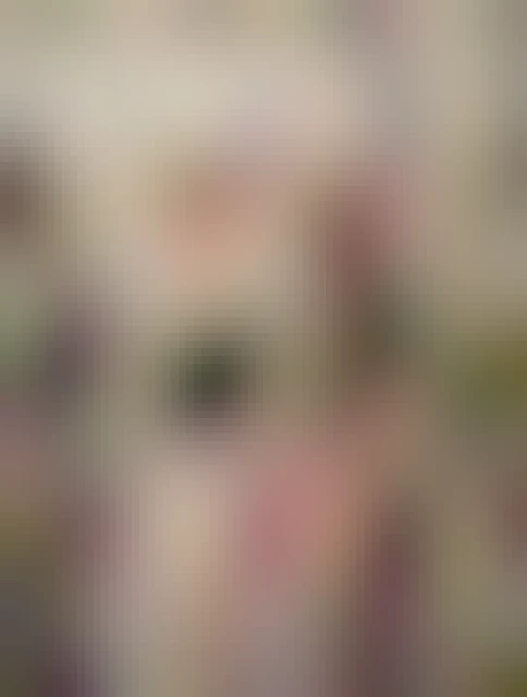 A smol chihuahua mix sits on a couch wearing a red strawberry hat. Looking directly at the camera slightly annoyed.  