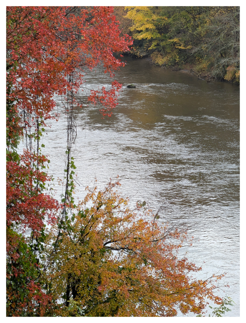 high-angle view of a narrow river flowing through a wooded area with autumn foliage. Trees with vibrant red, orange, and yellow leaves frame the river’s edge, while the water appears calm and reflective.