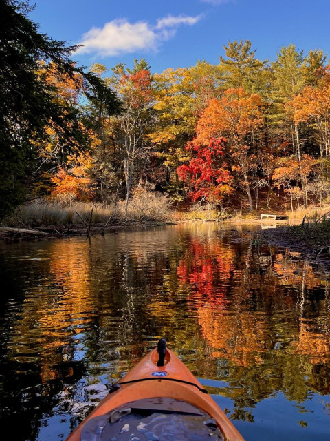 A kayak is traveling down a winding creek between sand dunes overgrown with trees in autumn colors reflecting on the calm water. Bright orange, red, and yellow leaves contrast against a clear blue sky, creating a serene natural scene. In the distance, an old wooden  dock is tilted from the yearly freezing and thawing. In the distance the creek turns to the left, leading into the unknown.