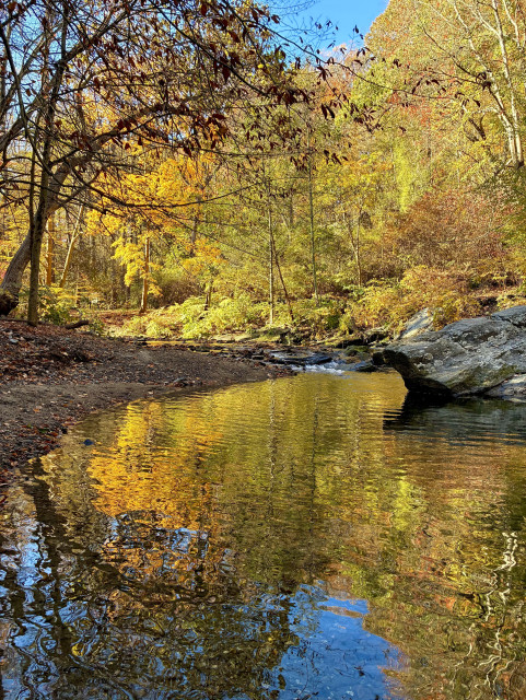 A creek winds through the woods under the soft morning sun. It flows between the sandy left bank and the boulders on the right. The forest glows with a golden light, reflecting on the rippling water.