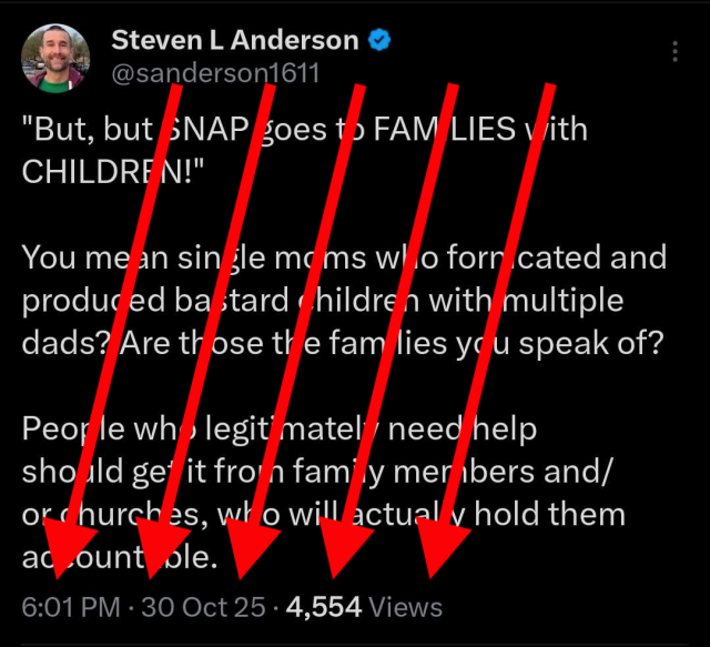 Lightly-coded racist condemnation of feeding children whose parents are the products of "fornication" and are "bastards" with "multiple dads," from Steven L. Anderson (blue-checked) on Twitter, posted October 30th, 2025. The text is struck through with down-and-left red arrows, because propaganda hate material.