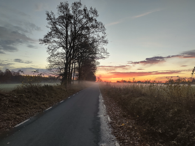 Landsbygdsväg med soluppgång i vackra färger, dimslöjor över vägen.