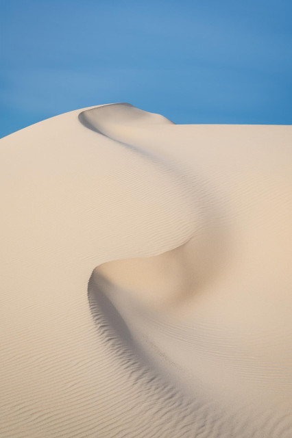a vertical dune shot done mid day with shallow shadows and a curving dune ridge going upwards. Blue sky at the top.