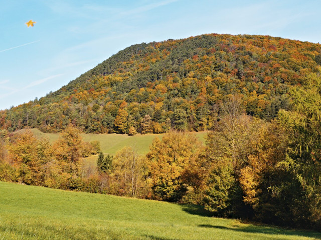 View of an autumnal hill in the wienerwald, austria