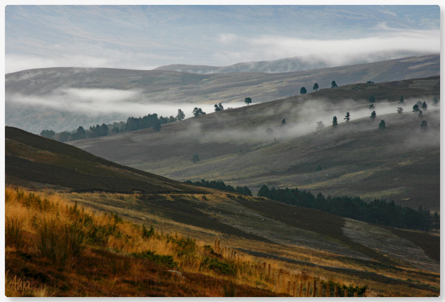 Blick auf leichten feinen Morgennebel zwischen kleineren Hügelketten am Rande des Caingorms National Park in Schottland. Bäume wachsen auf den den Hügelkämmen, die sich zickzackförmig vor einer flachen großen Hügelkette ausbreiten, braungoldene Gräser, verblühete Farne und rostbraune Heide färben den Vordergrund herbstlich, die Hügelketten wirken gräulich-grünlich. Im Hintergrund Berge, kein Himmel ist zu erkennen. 

View of light, fine morning mist between small chains of hills on the edge of Caingorms National Park in Scotland. Trees grow on the ridges, which zigzag across a large, flat chain of hills. Brownish-gold grasses, faded ferns and rust-brown heather colour the foreground with autumnal hues, while the hills appear greyish-green. Mountains in the background, no sky visible. 