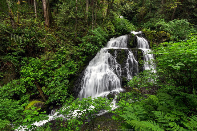 A waterfall with multiple tiers flows over a rock face in a forest surrounded by vibrant green foliage provided by small shrubs and ferns.