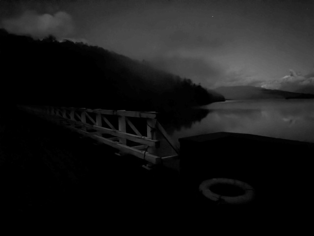 bridge with a white fence railing at night. a ring buoyancy aid is lying in the ground.. beyond the bridge are trees and a loch