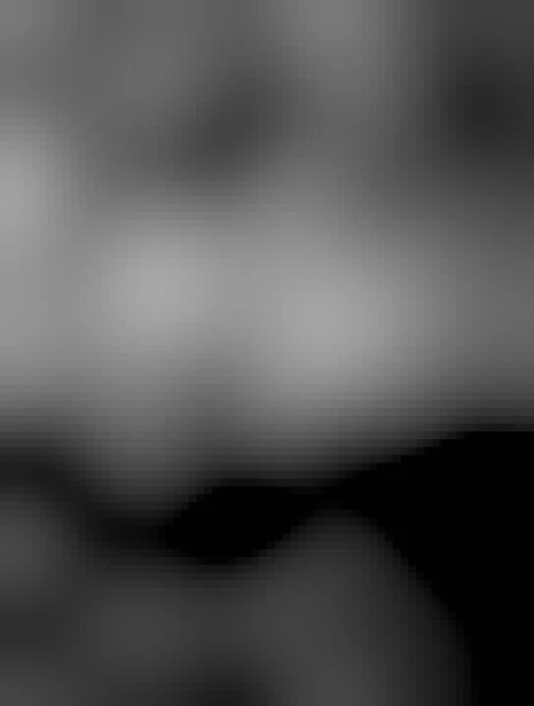 looking across a loch from between some alder and birch (possibly) which have lost all their leaves. across the loch is a bright light - a forester hard at work late at night