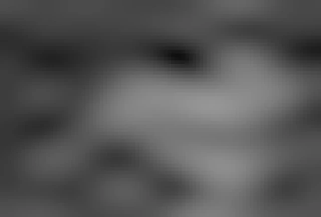 Fallen leaves scattered on the ground are seen close up and at ground level next to the curb in this black and white image.