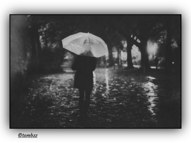 Black and white analog photo showing a quiet night scene in the park. A woman walks alone down a wide cobblestone path, her clear umbrella catching the soft glow of the streetlights. The ground is wet and scattered with leaves, reflecting the light in blurry patches. Her posture is slightly hunched, like she’s shielding herself from the rain or the cold. On the right side, a row of lamps stretches into the distance. In the background, another figure stands still near a tree, barely visible, almost blending into the shadows. The whole scene feels hushed and moody, like something’s about to happen but it hasn’t yet.