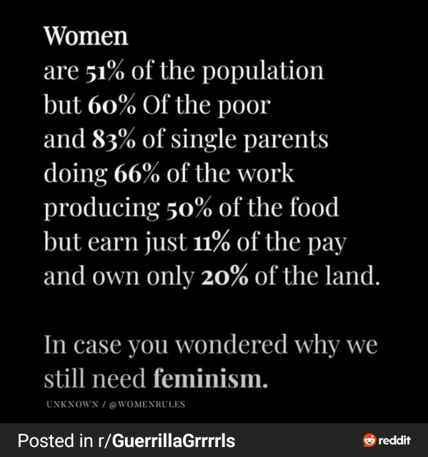 Women 
are 51% of the population
but 60% of the poor
and 83% of single parents
doing 66% of the work
producing 50% of the food
but earn 11% of the pay
and own only 20% of the land.

In case you wondered why we still need feminism.