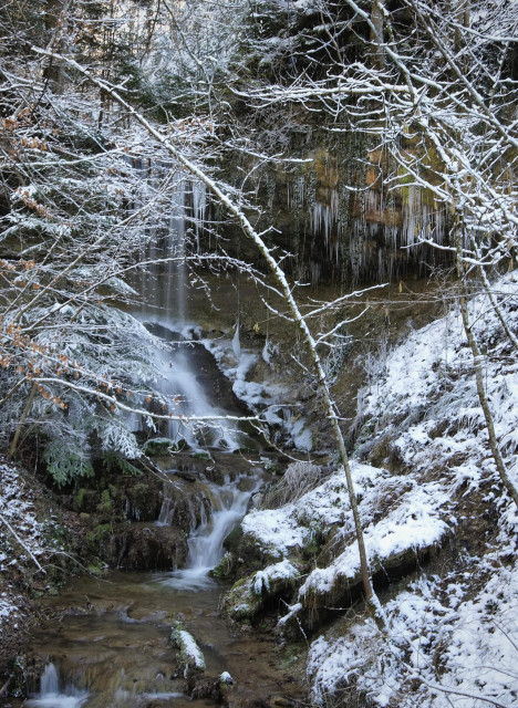 A winter scene featuring a small waterfall cascading down a rocky surface, surrounded by snow-covered trees and icicles. Patches of flowing water are visible among the snow and mossy rocks.