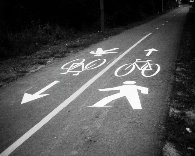 A bike and pedestrian pathway is seen at an angle with painted lines and direction markers. This black and white image shows the path going away into the distance to the top right and trees and bushes on either side.