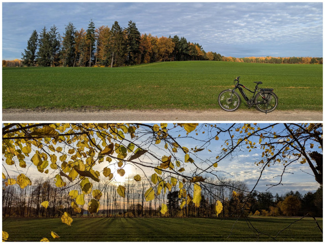 Bildkollage:
Oben: Ein schwarzes Haibike Trekking Fahrrad steht vor einer grünen Wiese. Im Hintergrund links ist eine Reihe von Nadelbäumen, darunter Lärchen, deren Nadeln gold gefärbt sind. Am Horizont ist ein Wald mit buntem Herbstlaub.
Unten: Goldene Blätter im Gegenlicht im Vorderung, dahinter am Horizont steht eine nun fast kahle Baumreihe. Die Sonne steht schon recht tief. 