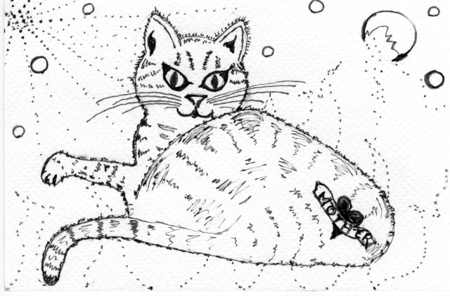 Black ink sketch of a cat.