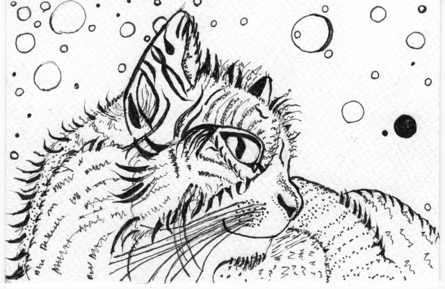 Black ink sketch of a cat.