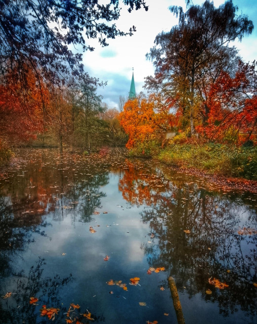 Lake surrounded by autumnal looking trees