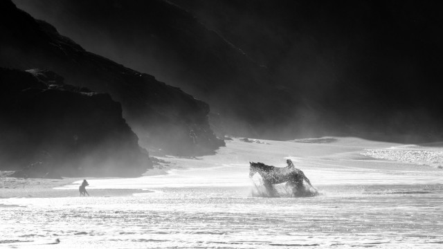 A women walks a horse into the surf at the beach. A dog is facing them from the edge of the surf. dark cliffs and mist are in the background, the image is in black and white.