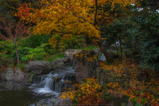 In The Stillness of the Waterfall