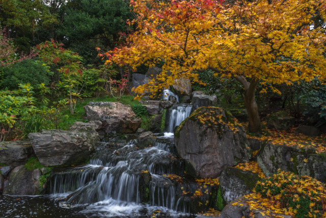 A Peaceful Autumn Scene