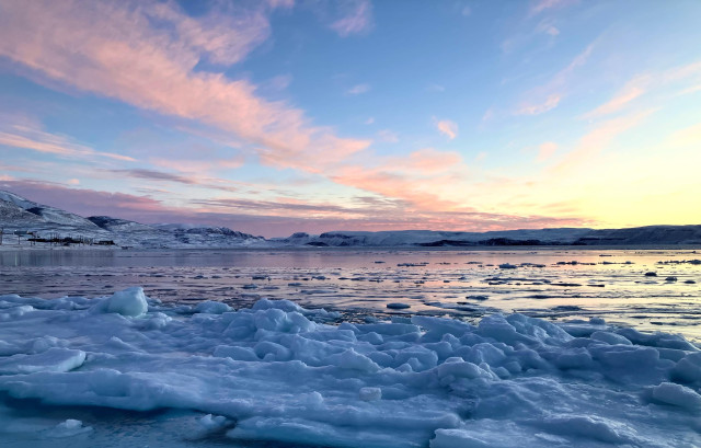 Looking out on the bay. Jumbled ice on the edge and smooth ice beyond reflecting the sky of pinks, oranges, yellows and blue. 