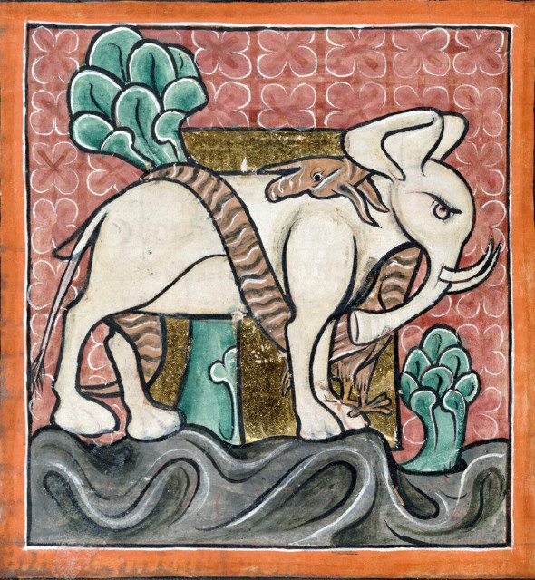 #Dragon attacking an #elephant. bestiary, England ca. 1226-1250. Bodleian Library, MS. Bodl. 764, fol. 92v.
#medieval #MedievalArt