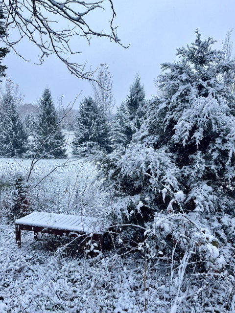 A winter landscape featuring snow-covered trees and a bench partially obscured by snow. The scene is tranquil and shrouded in a soft, grey light.